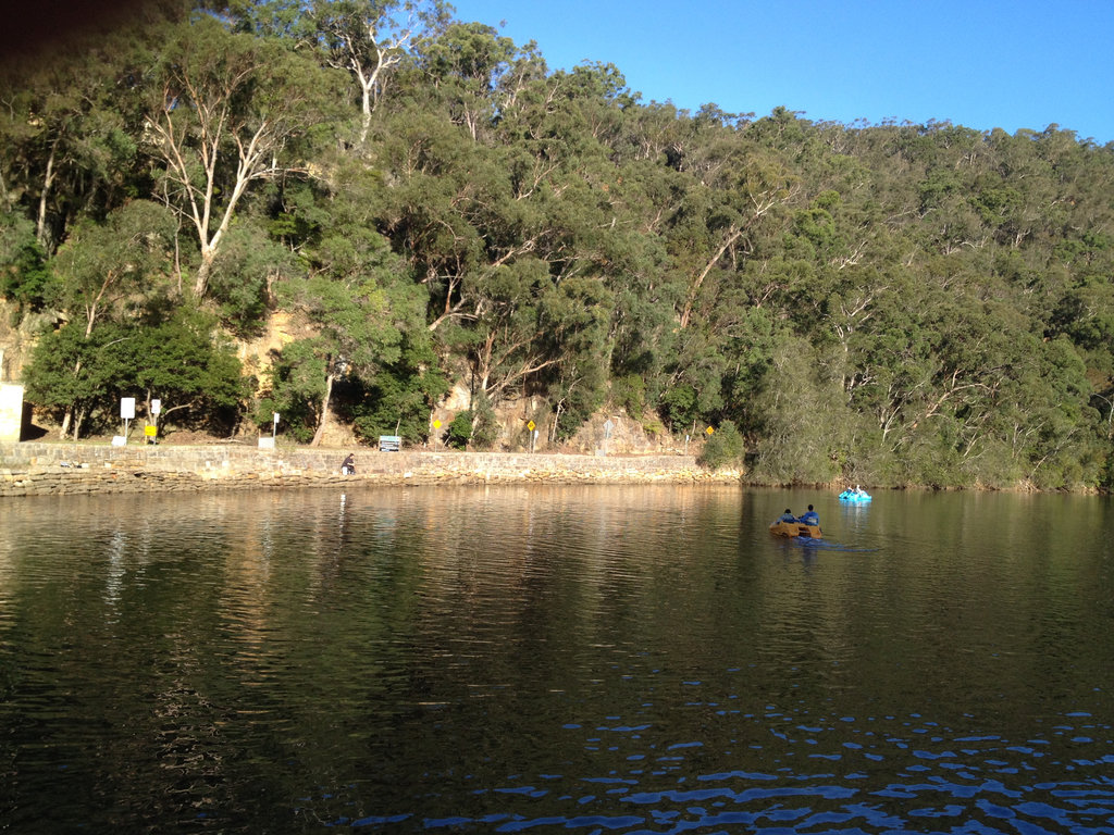 Paddle Boats for Hire.