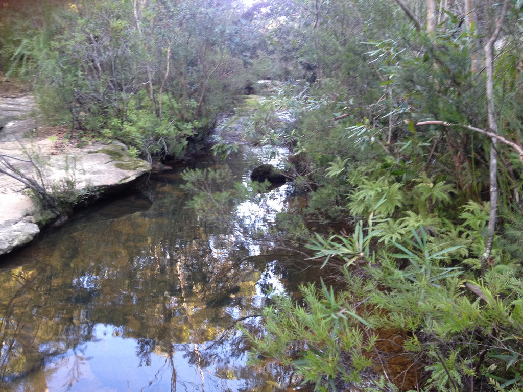 Water Crossing.