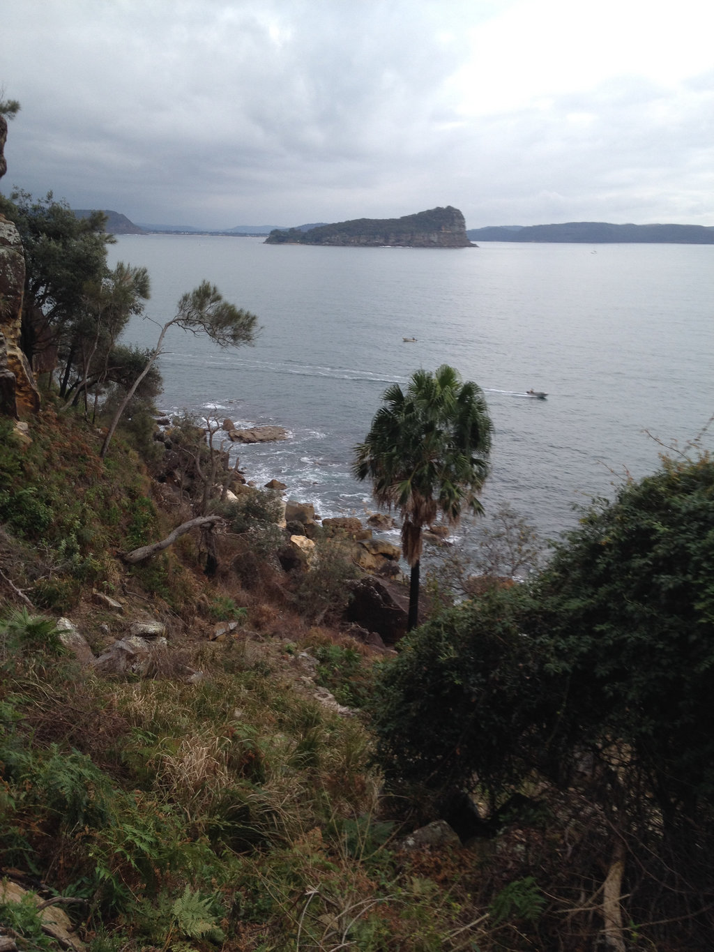 Lion Island