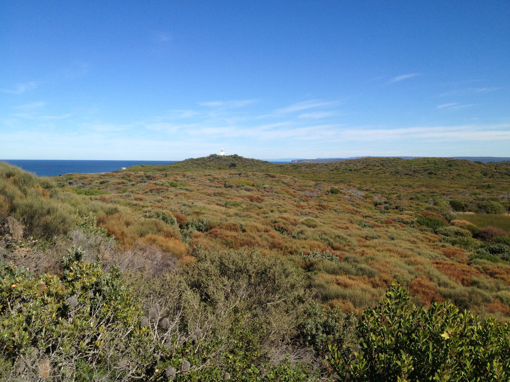 Cape Solander Lighthouse 