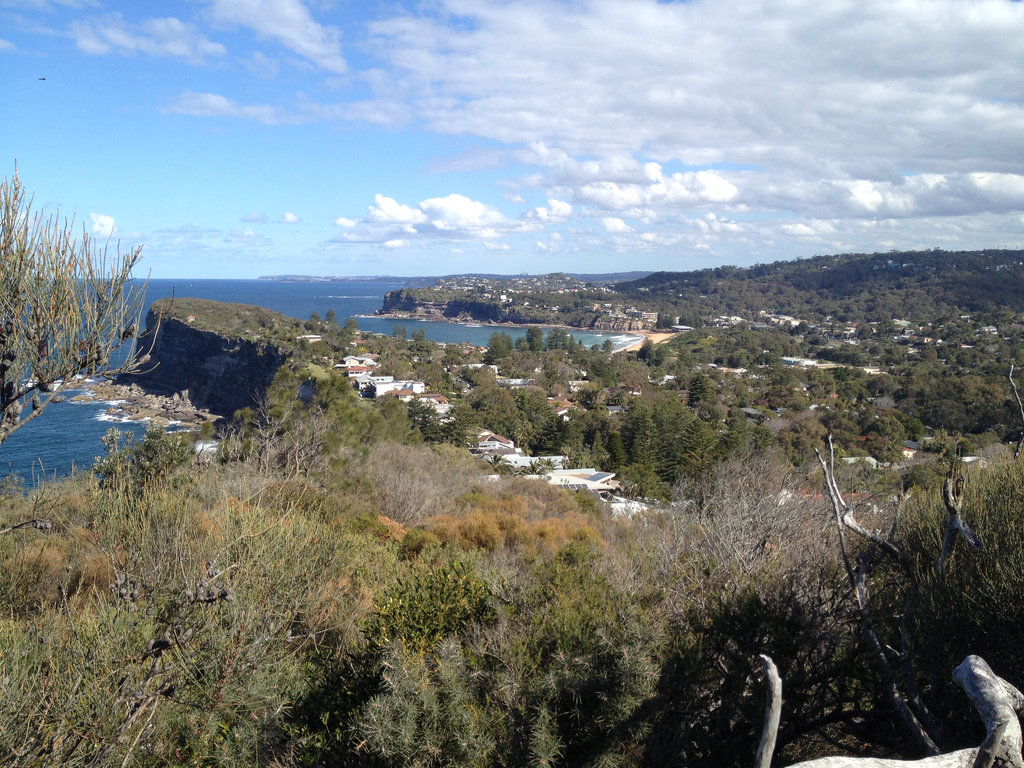 Ambling Around Avalon