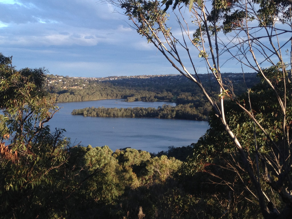 Narrabeen Bush Trail