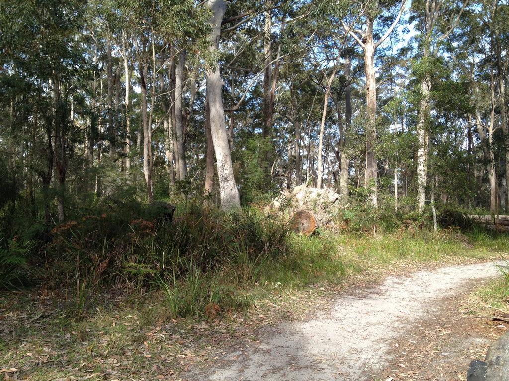 Start in Meroo Campsite.