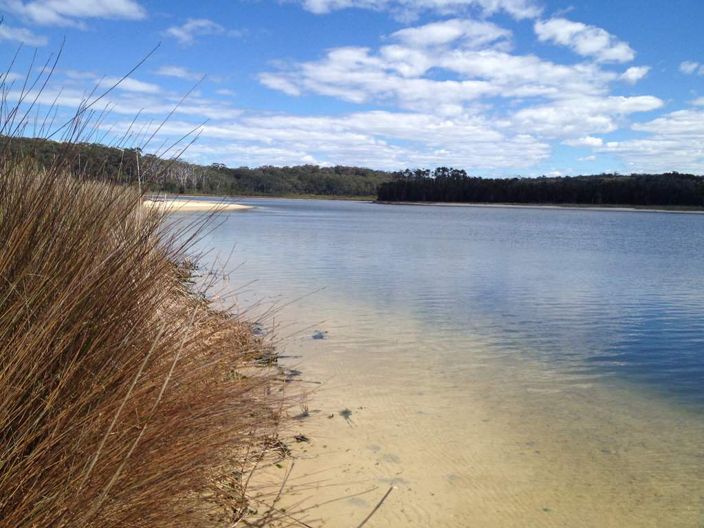 Lake Shore