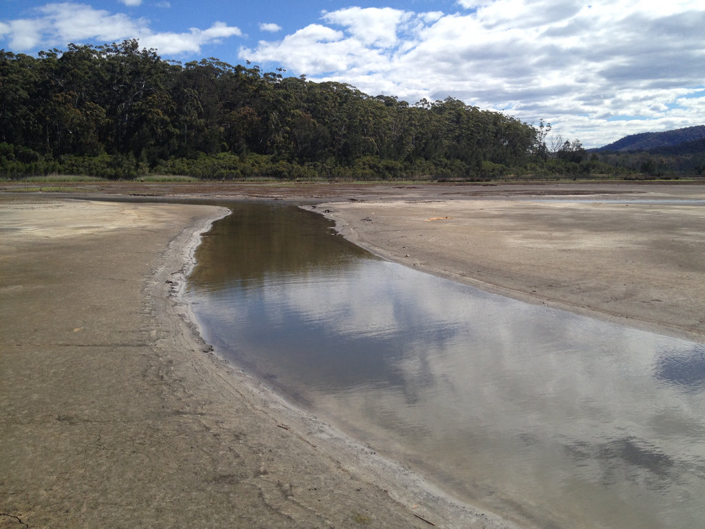 Mud Flats