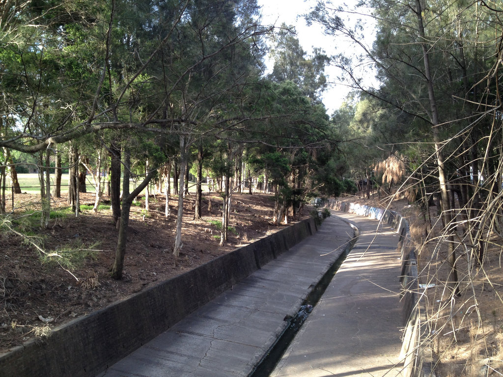 Basic Bankstown Boardwalk