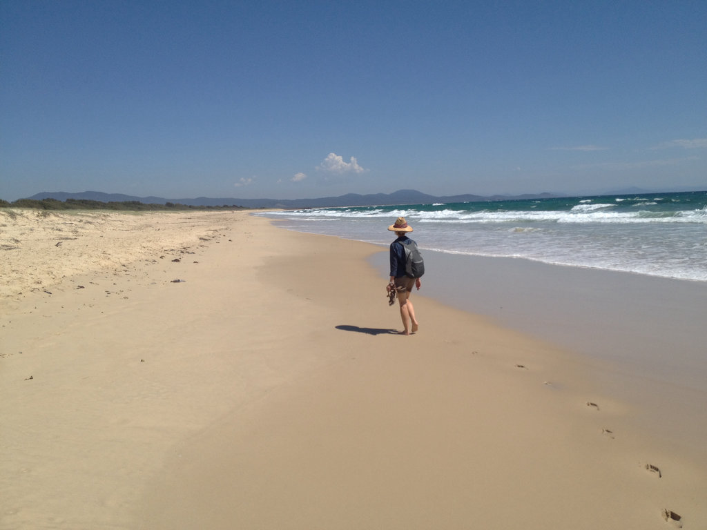 Along the Beach