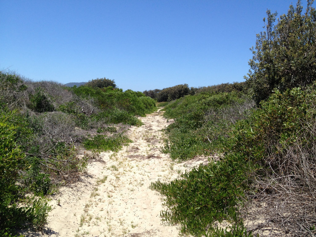 Sandy Return Trail