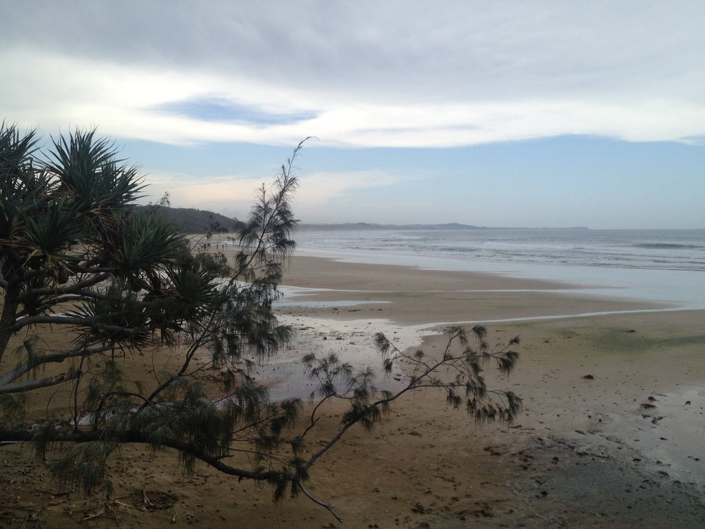 Along the Beach