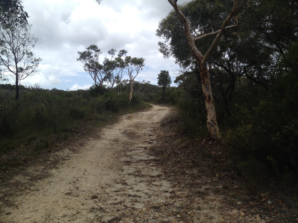 Exploring Dardabong Reserve