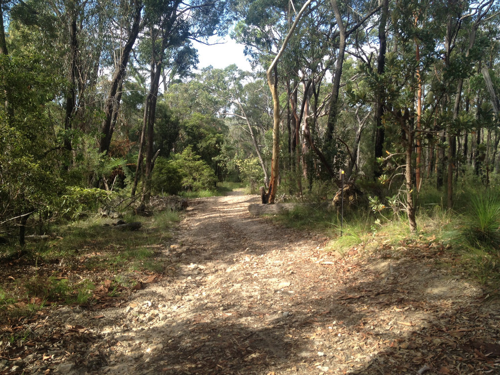 St Ives Showground Trail