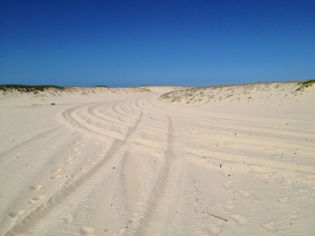 The sand dunes of Sandbar