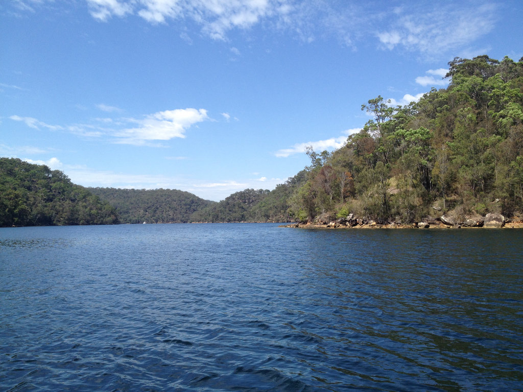 Paddling around Berowra