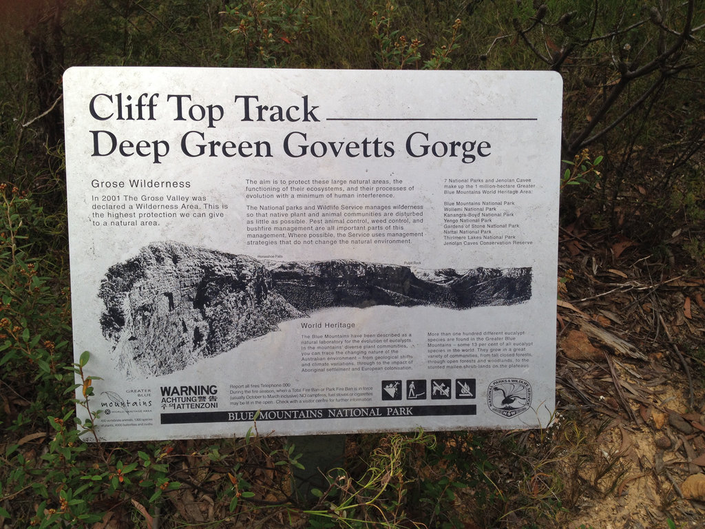 Cliff Top Track