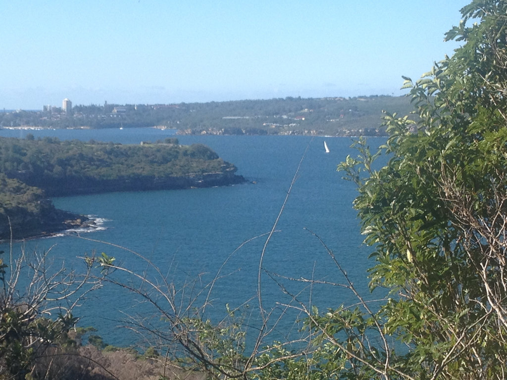 Another fabulous Harbour View