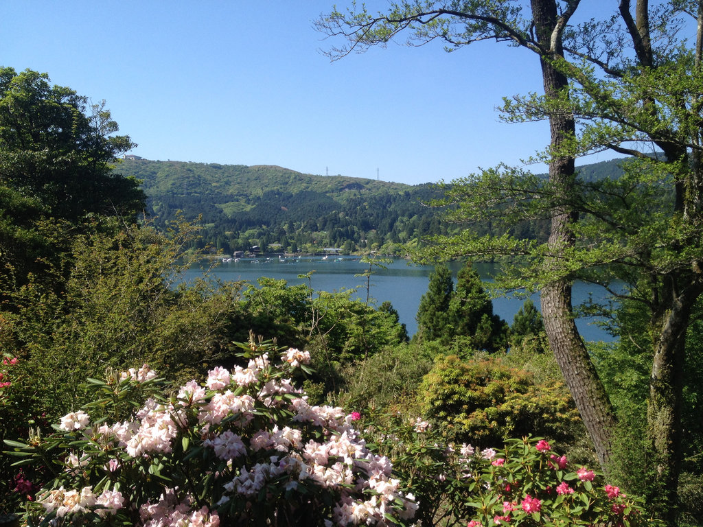 Flowers and views.