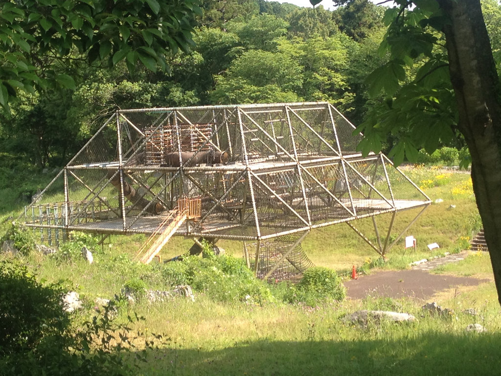 Play ground or torture device?