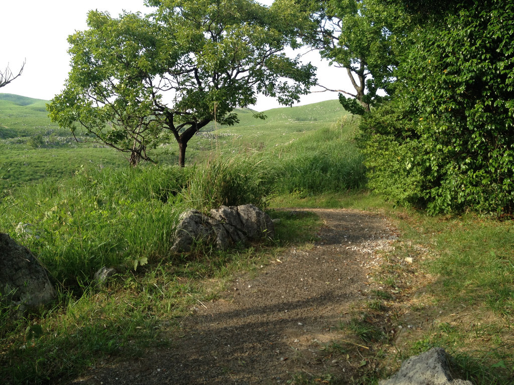 Akiyoshidai National Park