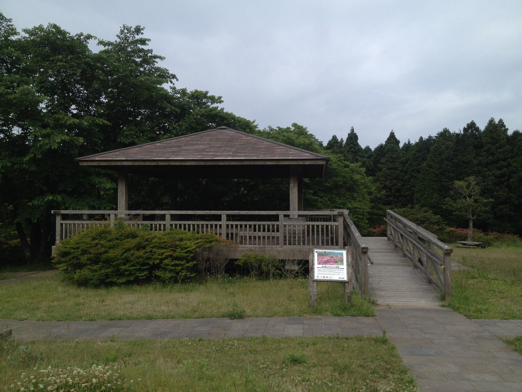 Start at the picnic area.