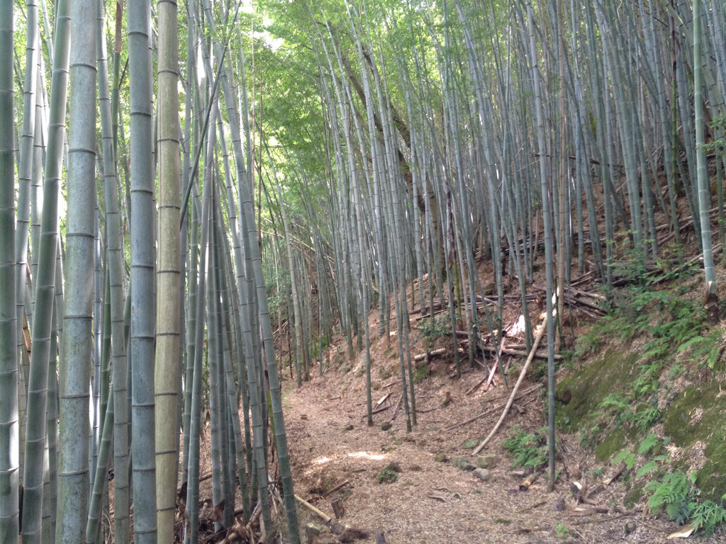 Iwami-Ginzam Silver Mine 1