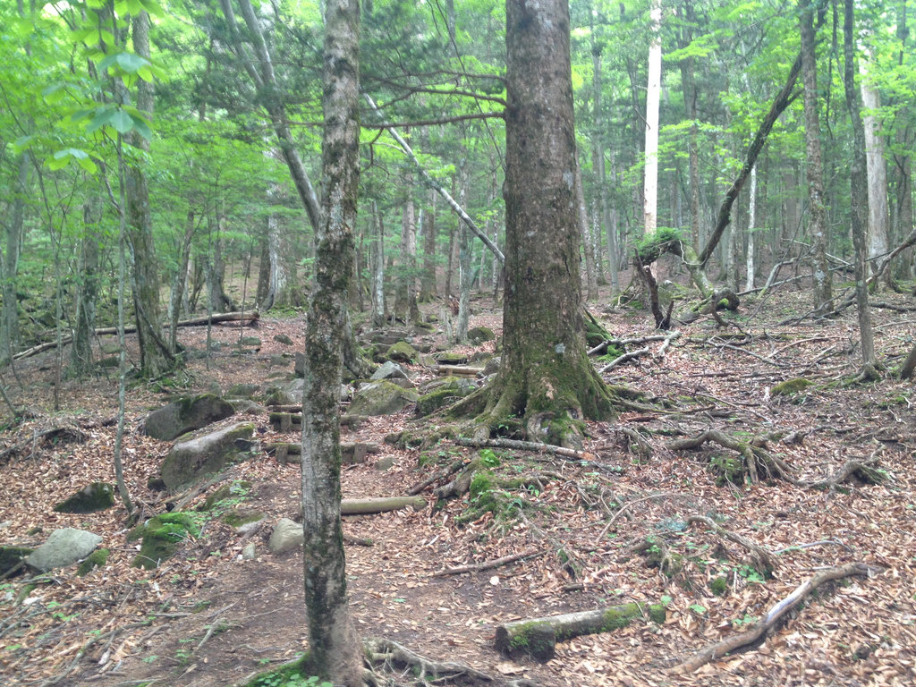 Hangetsutougi mountain