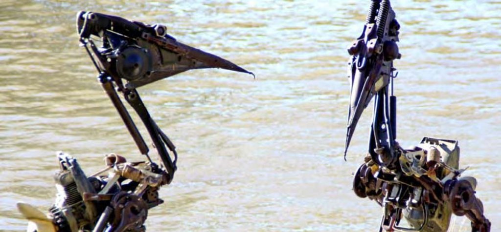 Biomechanical Pelicans