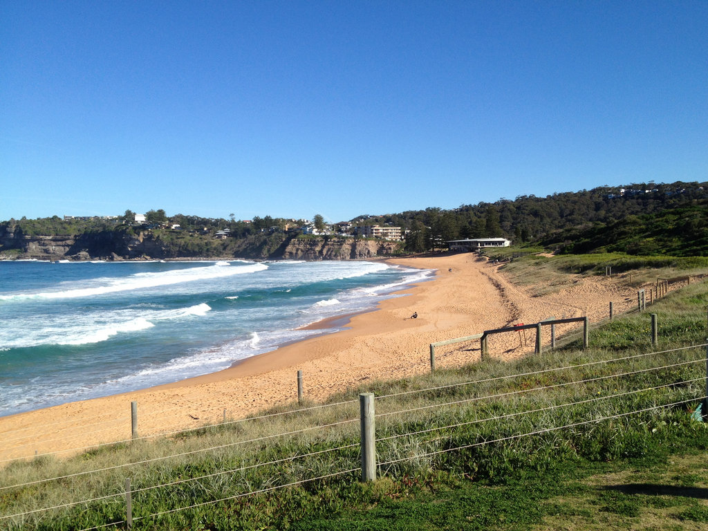 Avalon Beach