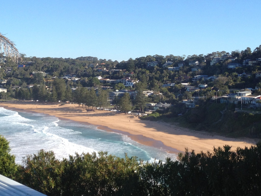 Whale Beach