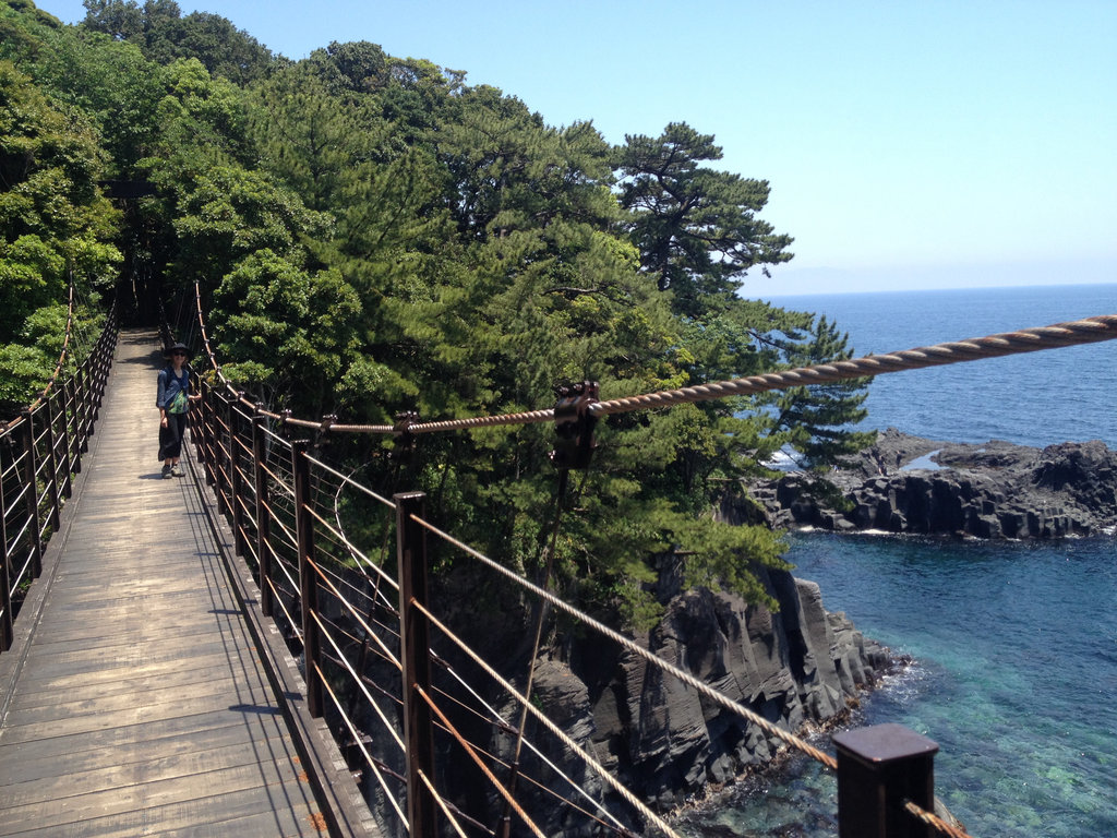 Spectactular Suspension Bridge