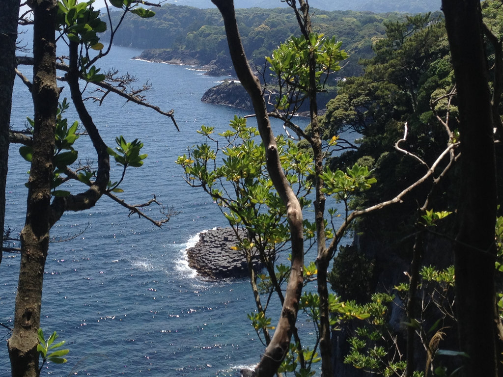 Rugged Coastline