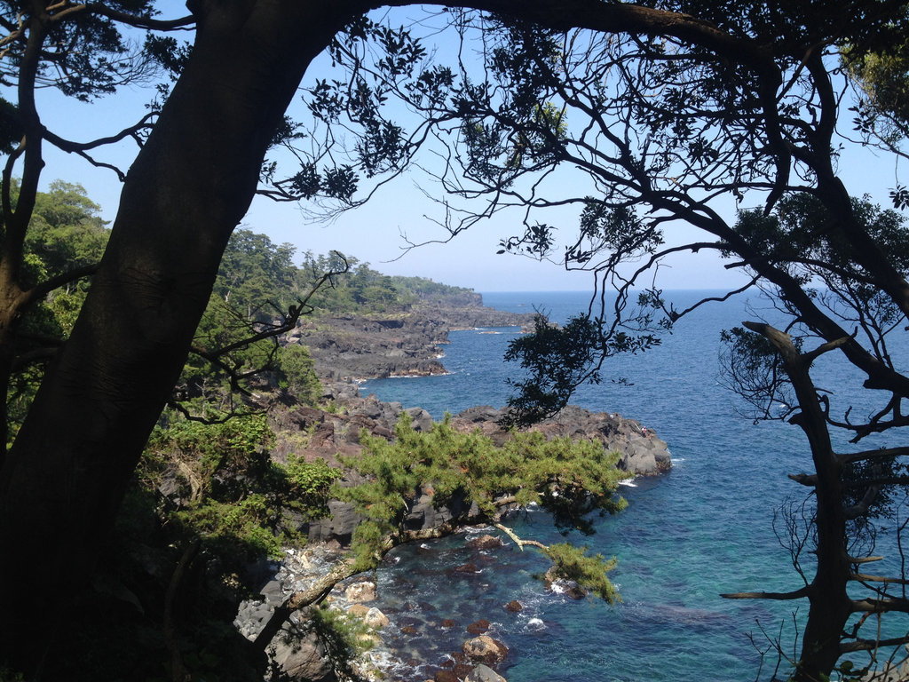 Izu Peninsula