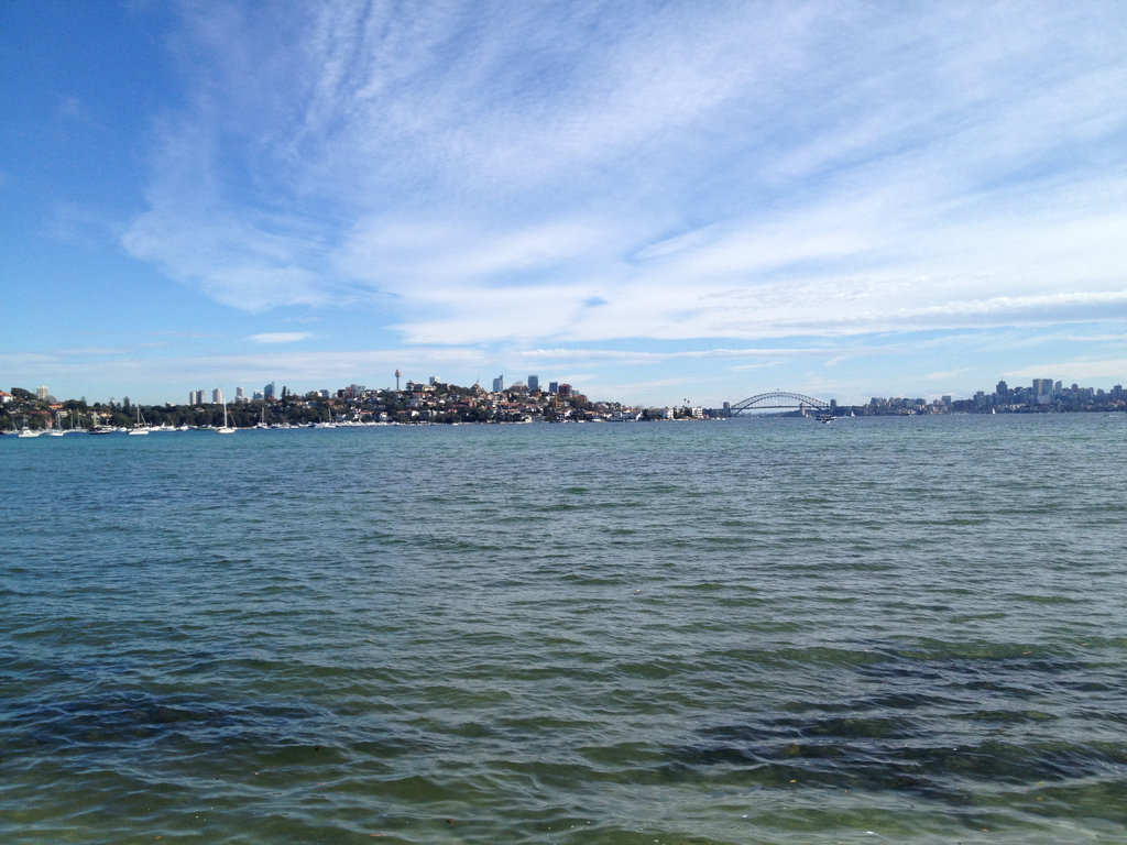 Sydney City and Harbour Bridge