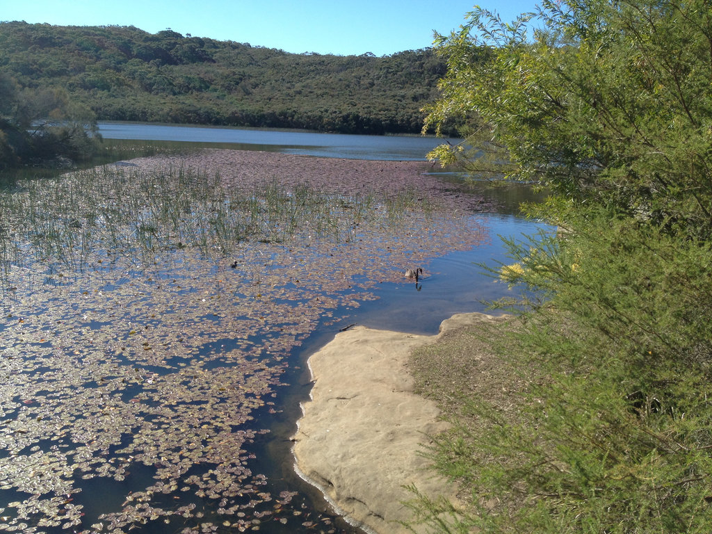 Around Manly Dam