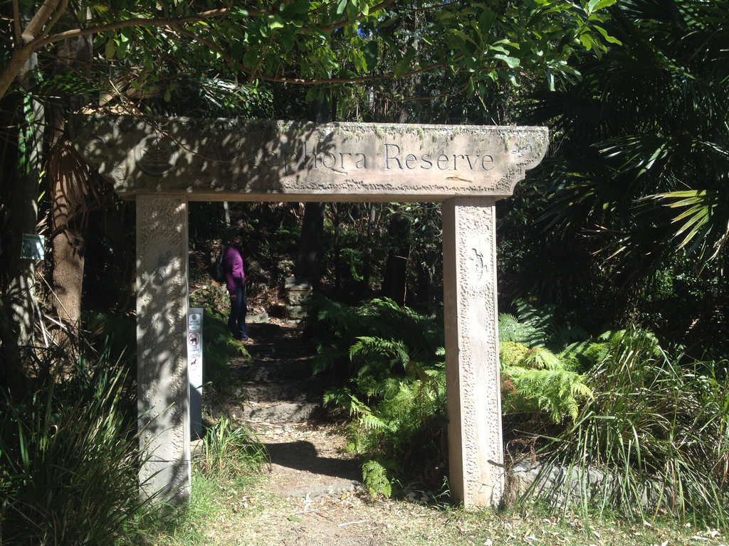 Ambling Around Avalon