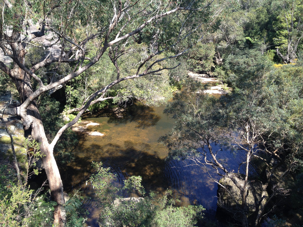 Exploring Girrakool on the Great North Walk.