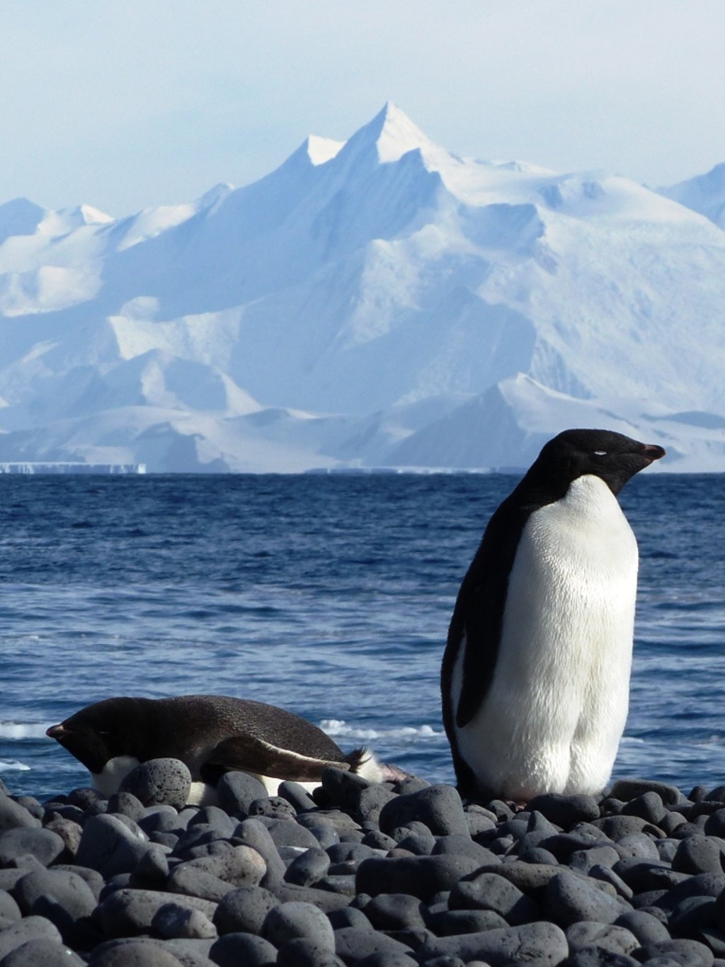 Christchurch Antarctic Trail