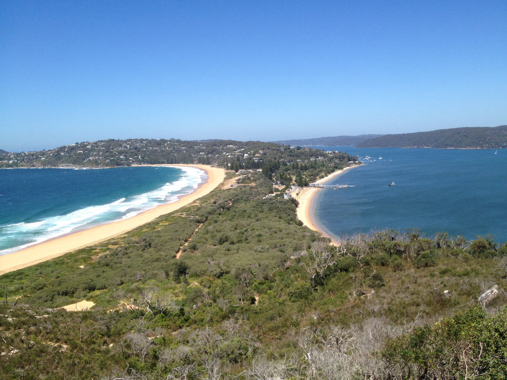 Palm Beach from top to bottom. 