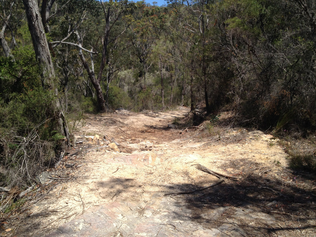 Sandy Trail