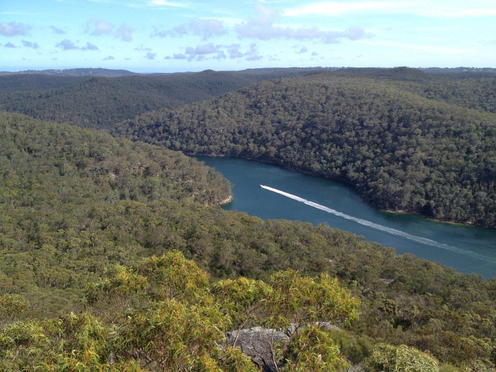 The best lookouts on the Waratah track