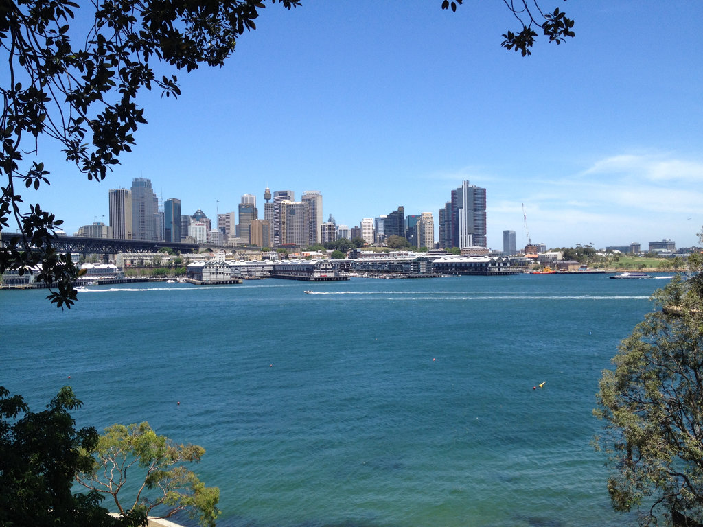 Lavender Bay to Coal Loader Loop