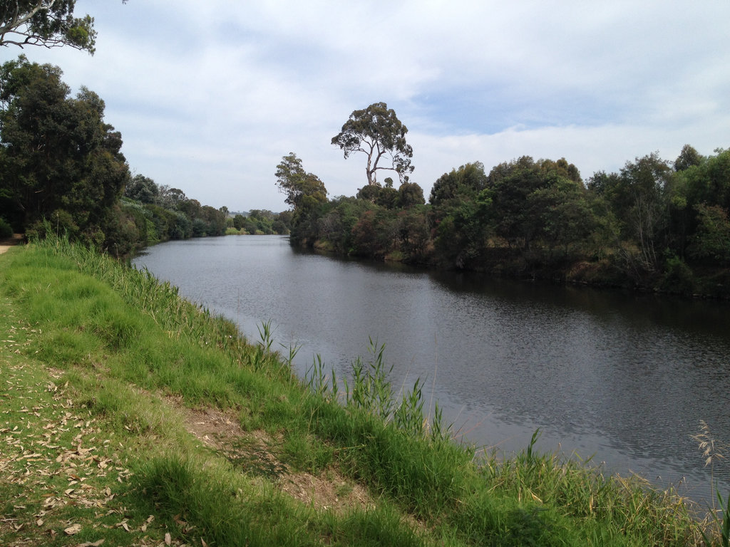 Barnsdale Mitchell River Flat Loop