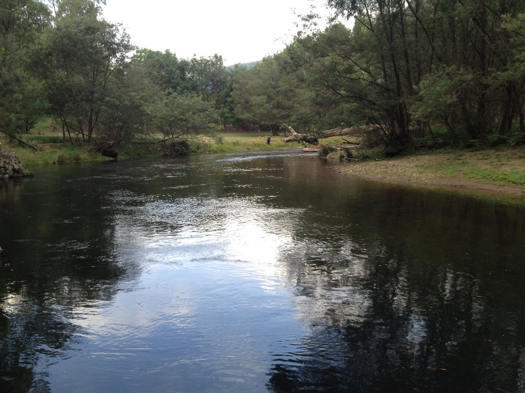 Dargo River - Italian Flat