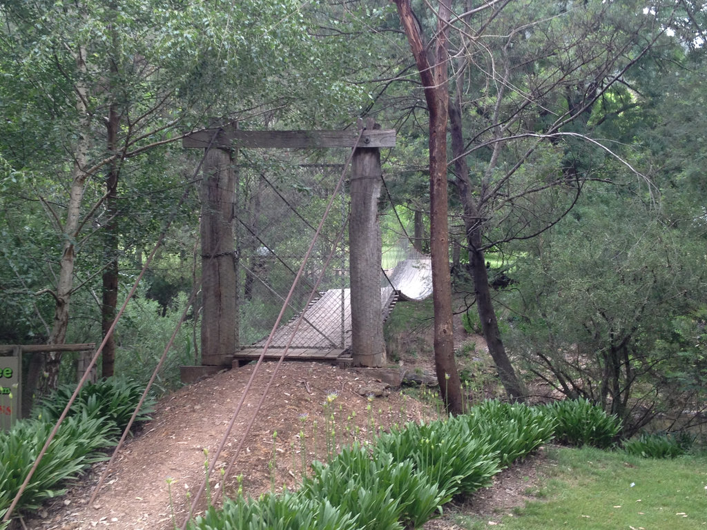 Suspension Bridge