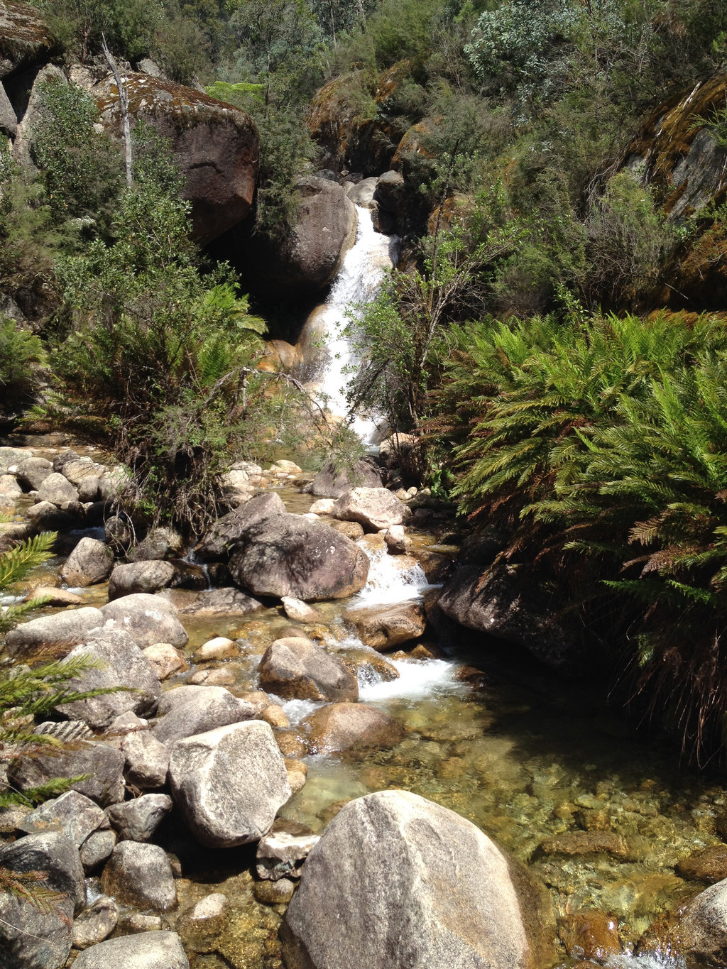 Eurobin Falls Track