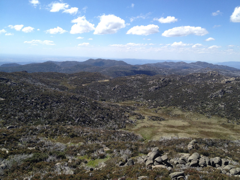 Mount Buffalo - The Horn Track