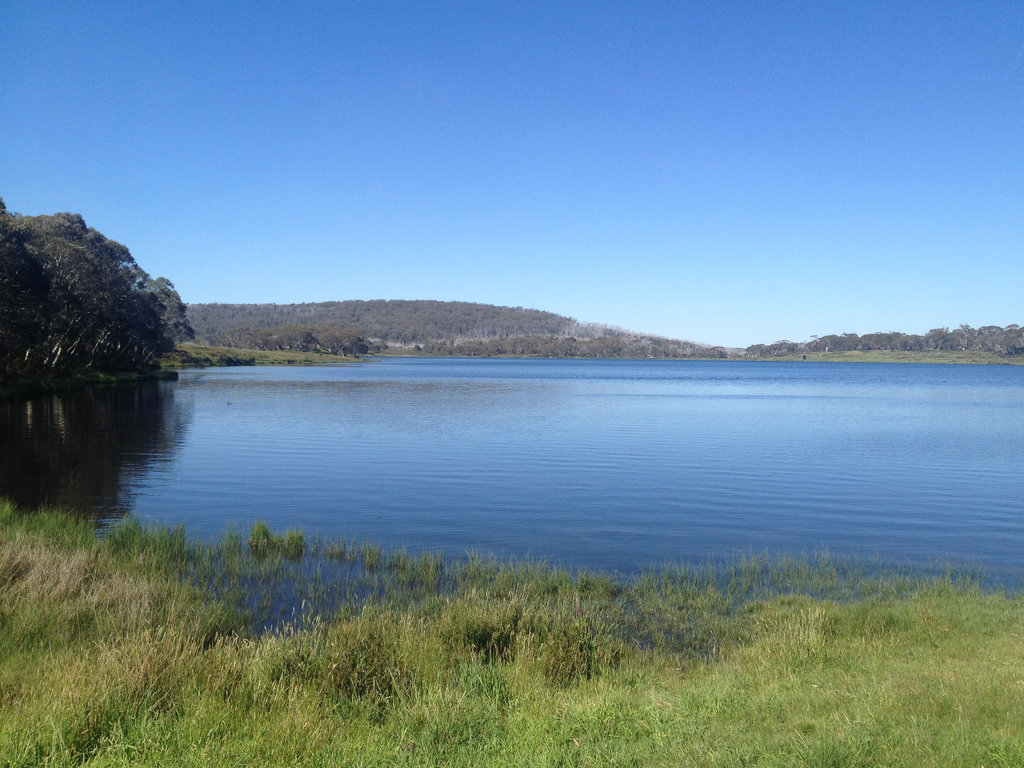 Around Three Mile Dam