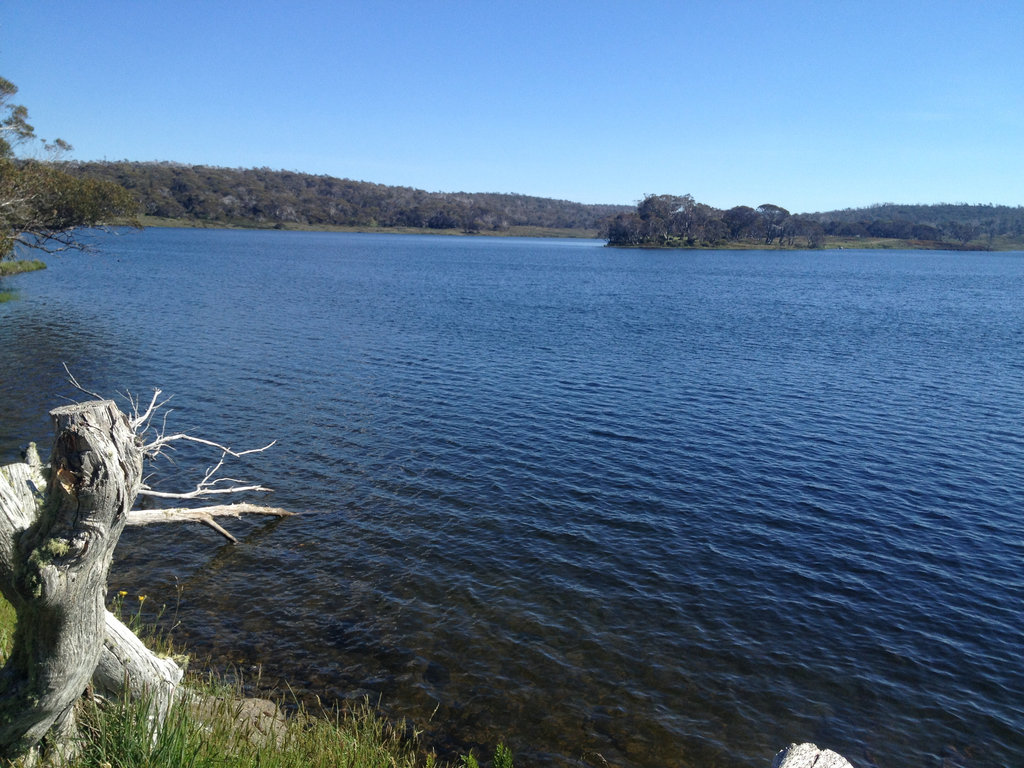 Yet another dam view.