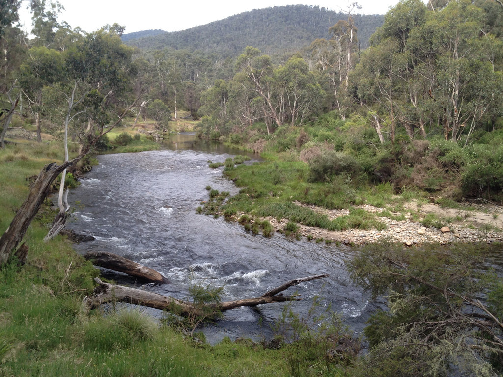 Another River View