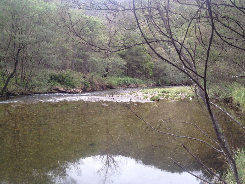 Dargo River