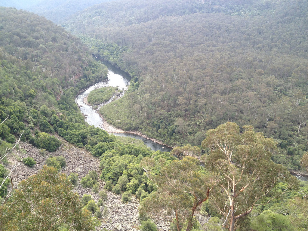 Mitchell River Walking Track